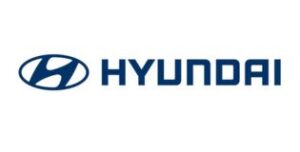 Hyundai 10KM Leon Logo 300x152